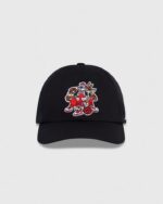 Ovo Looney Tunes™ X Raptors Sportcap